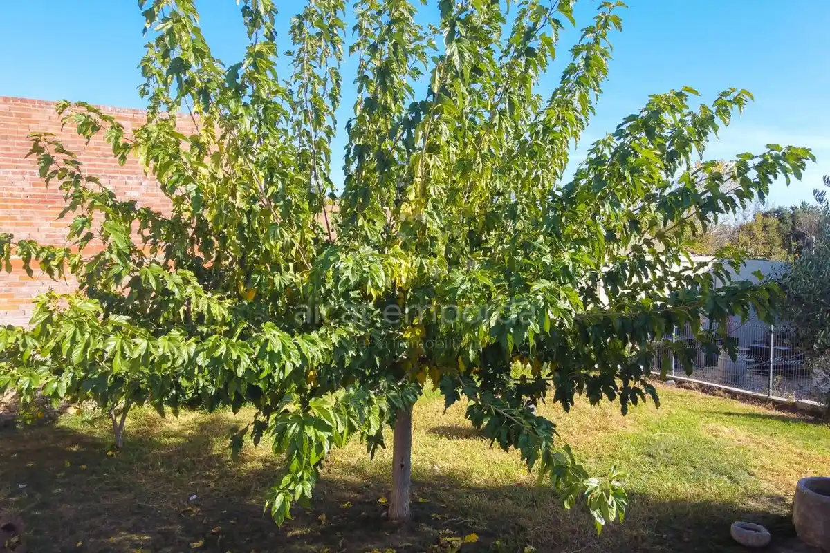 En Santa Llogaia, privacidad, luz natural, espacio al aire libre, 396 m2 útiles y 400 m2 de terreno 100% edificable.