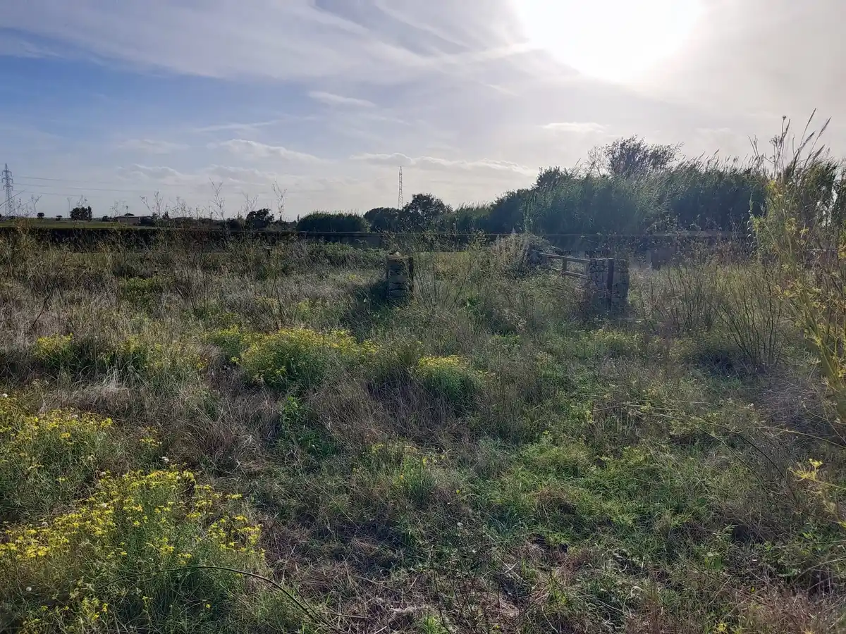 Gran terreno para plantar viñedos (Palau Savardera)