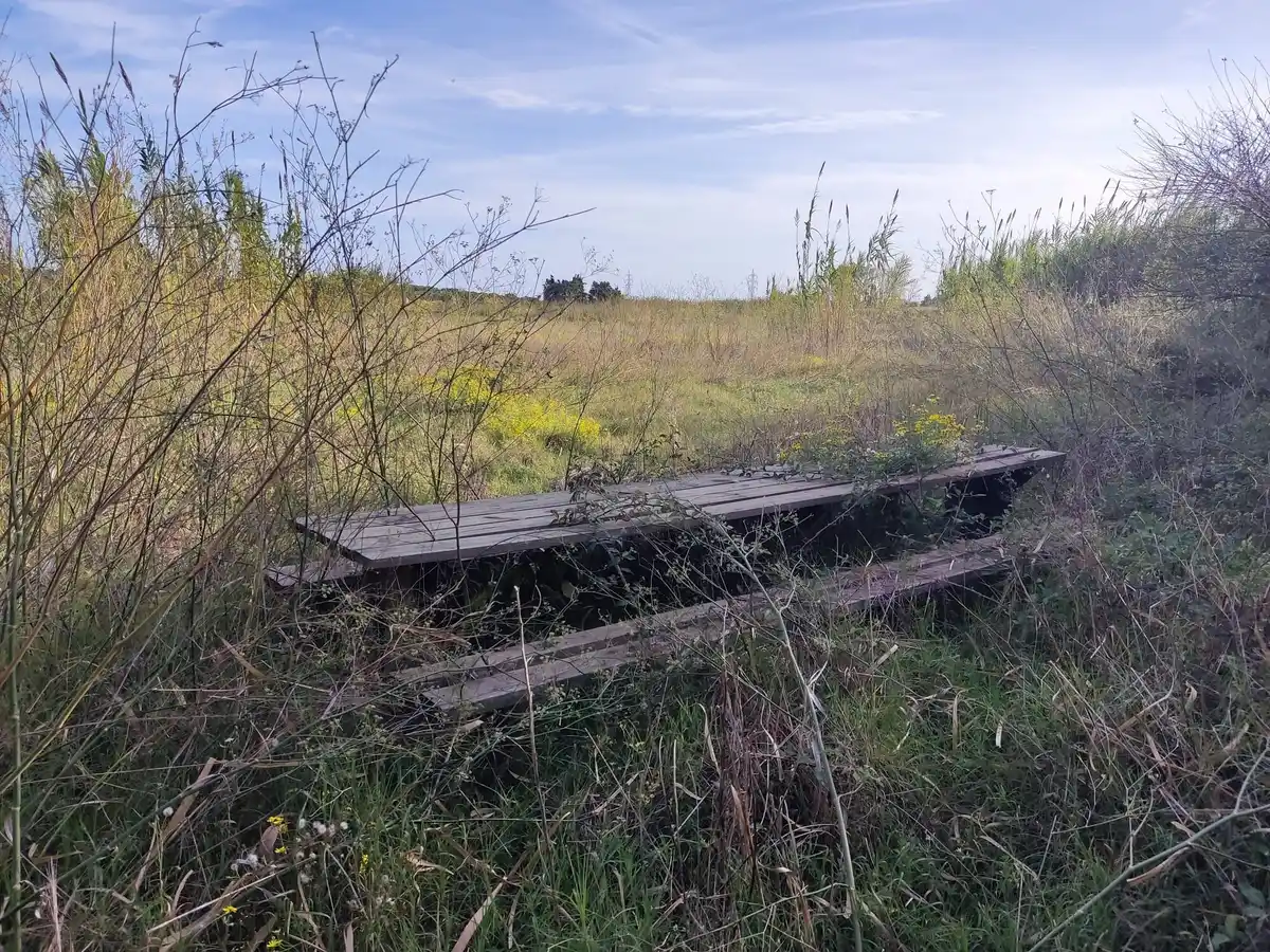 Gran terreno para plantar viñedos (Palau Savardera)