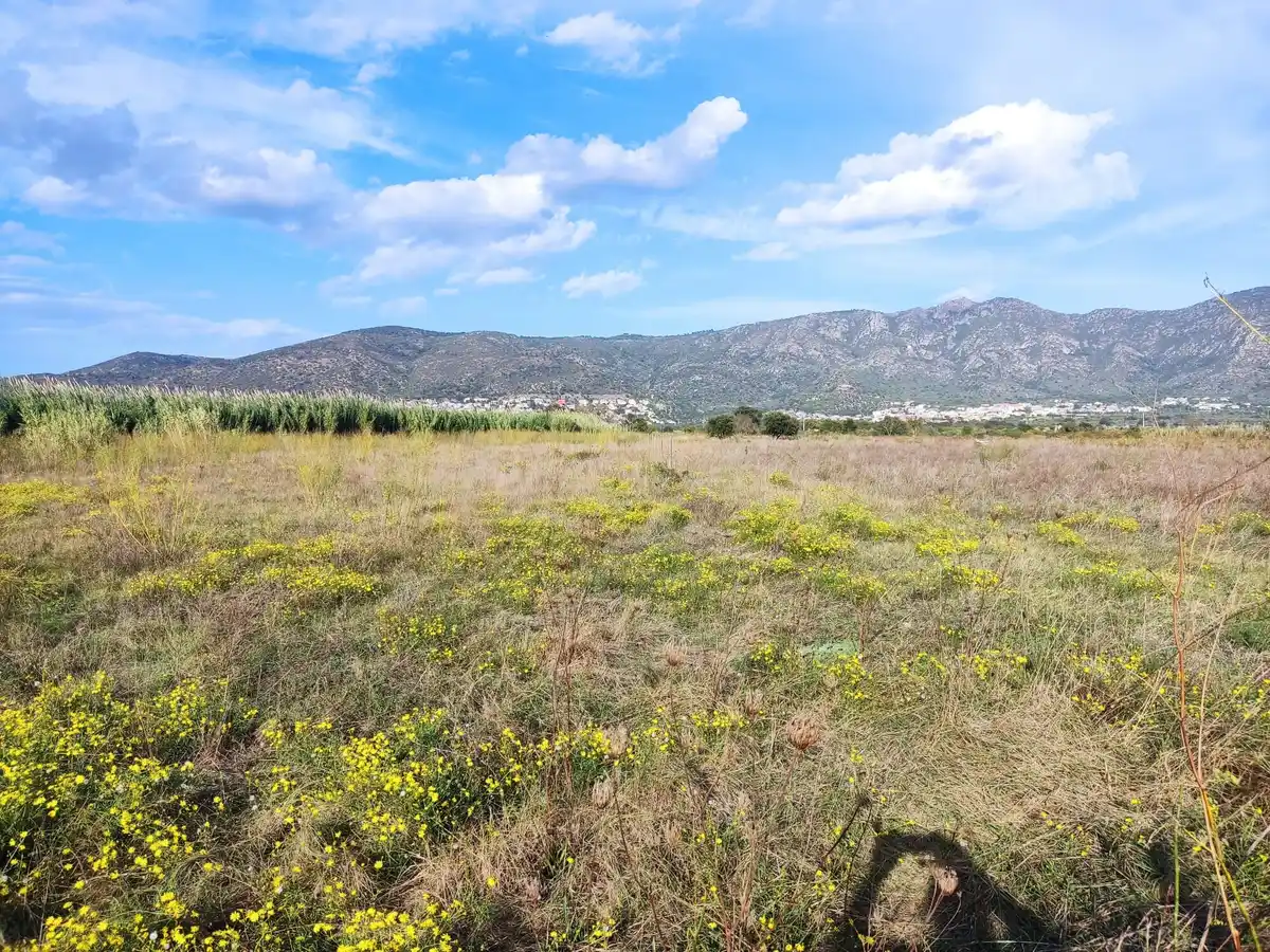 Gran terreno para plantar viñedos (Palau Savardera)