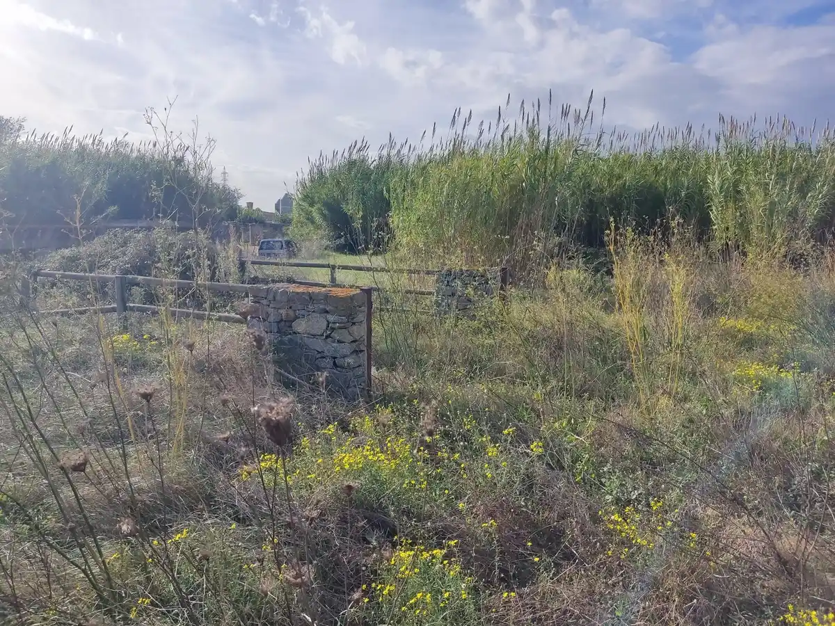 Gran terreno para plantar viñedos (Palau Savardera)