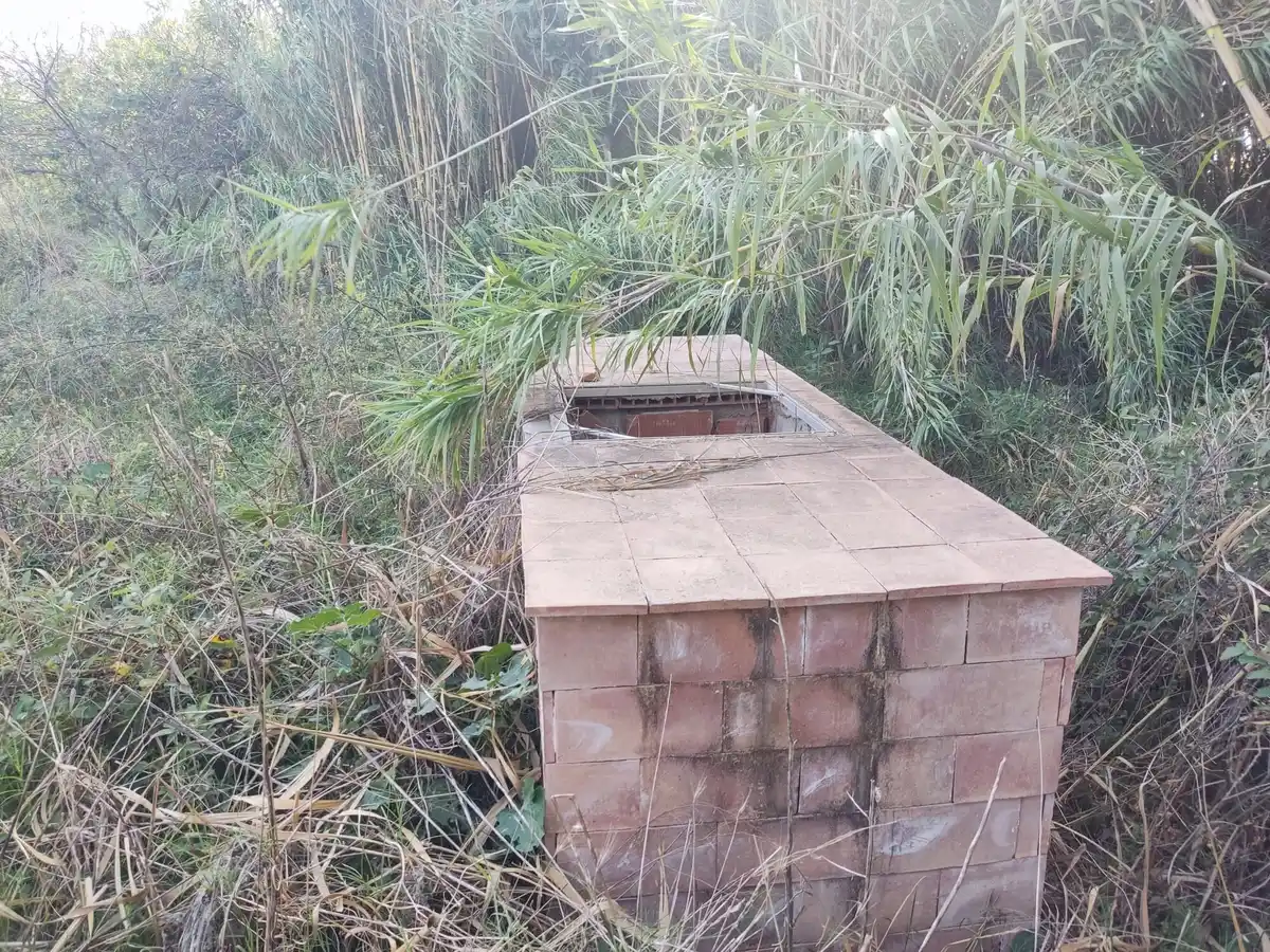 Gran terreno para plantar viñedos (Palau Savardera)