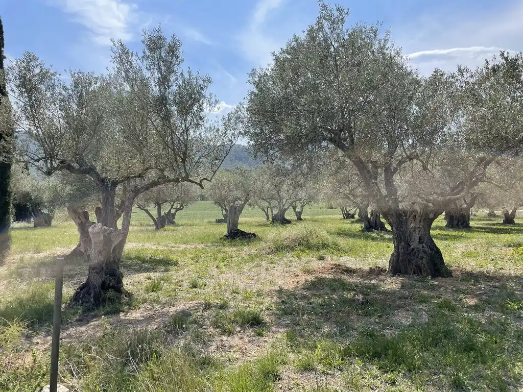 Masia para restaurar (Boadella)