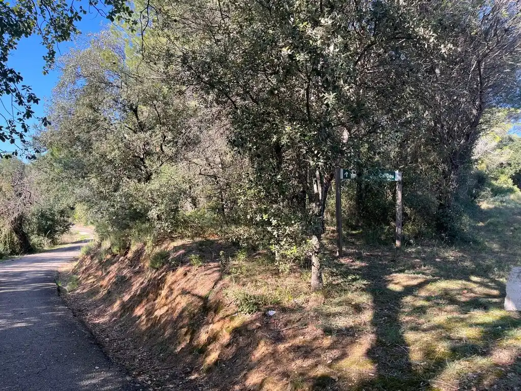 Finca en Venta (Cabanelles)