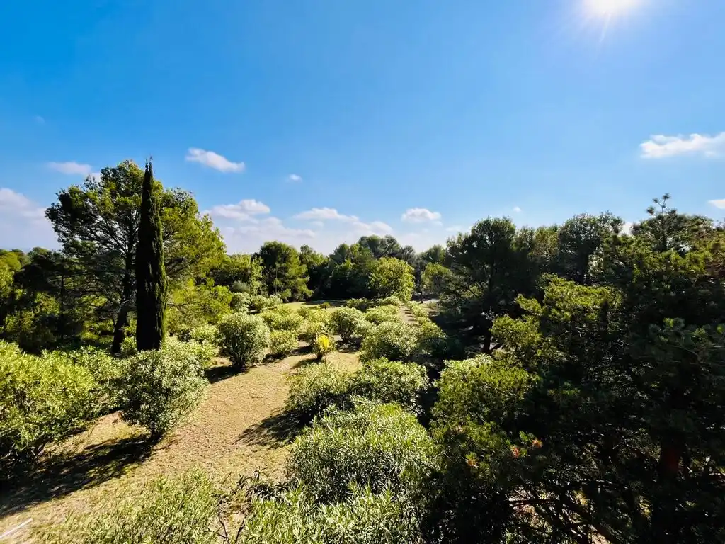 Finca en Venta (Cabanelles)