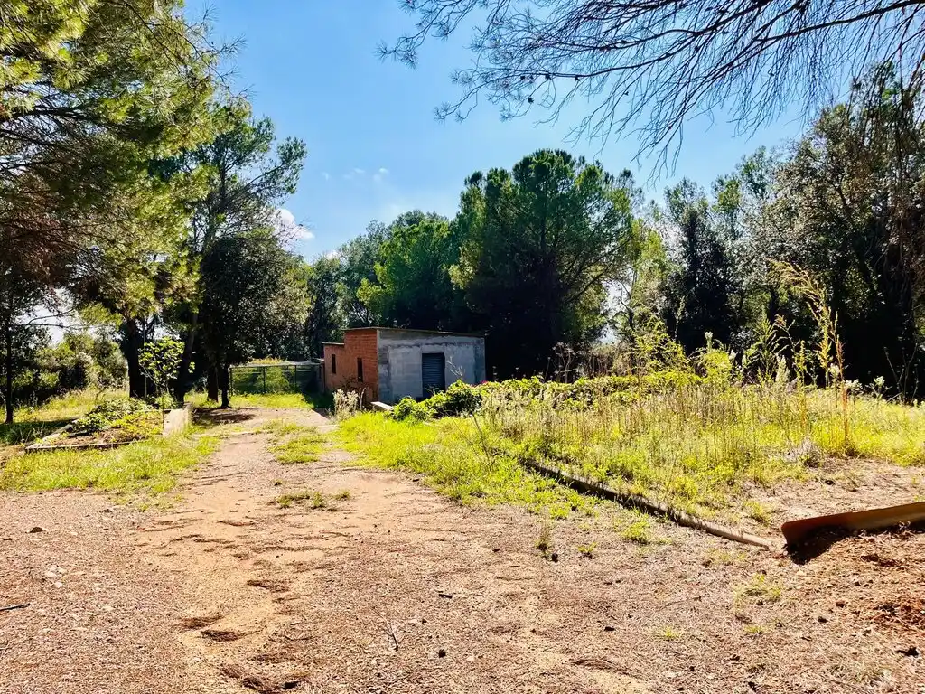 Finca en Venta (Cabanelles)