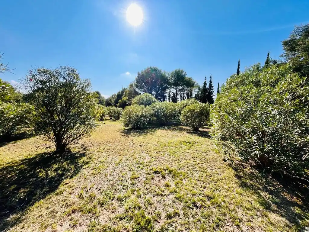 Finca en Venta (Cabanelles)