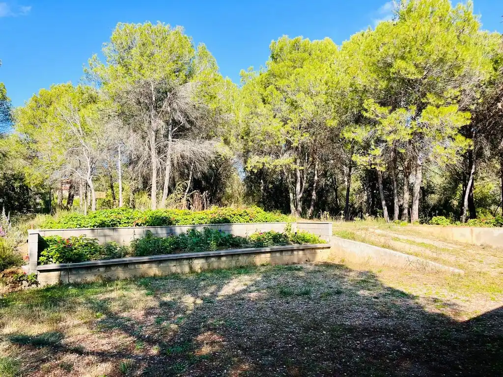 Finca en Venta (Cabanelles)