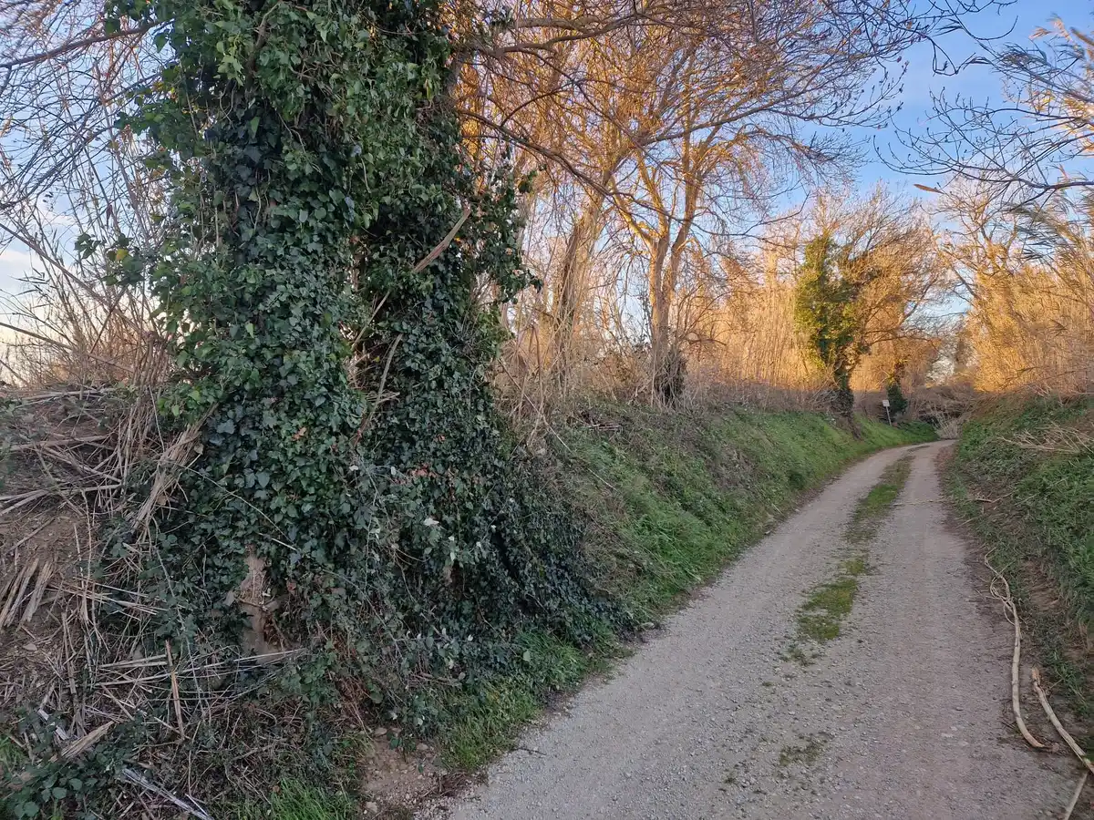 Gran terreno rústico en Peralada.
