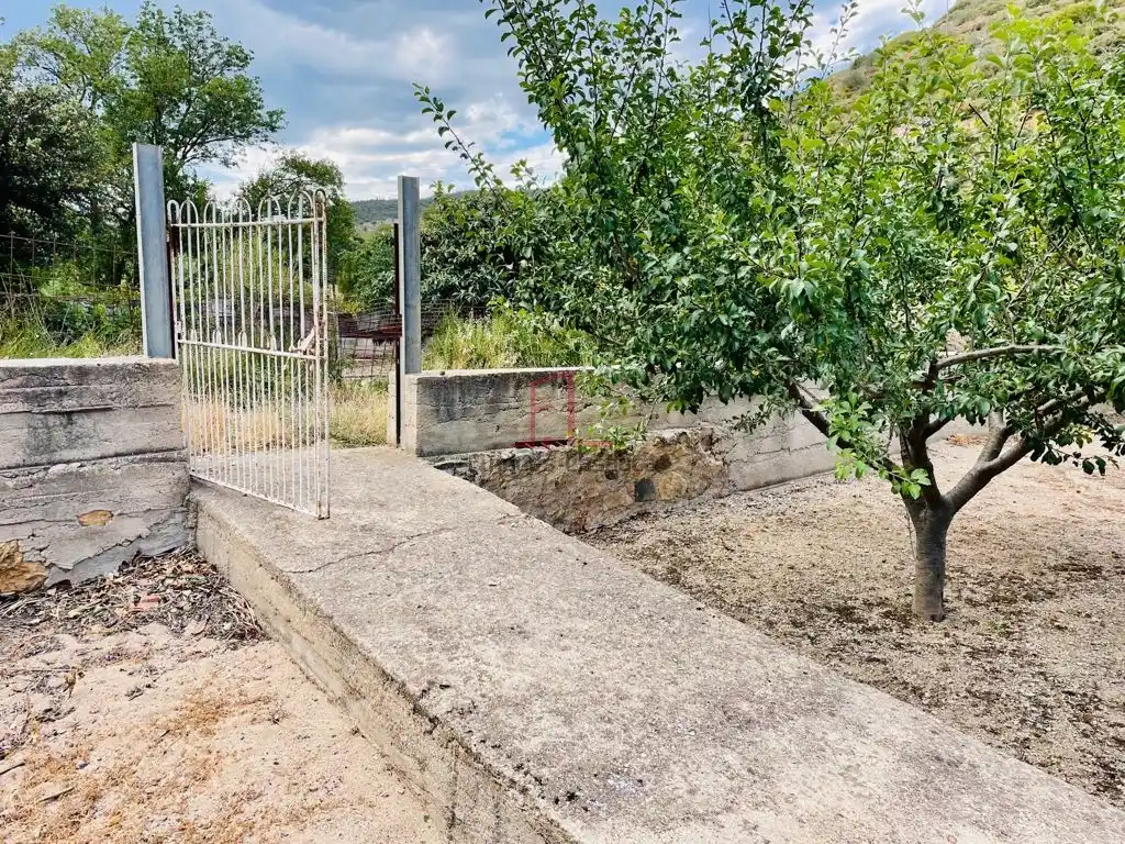Huerto en Biure