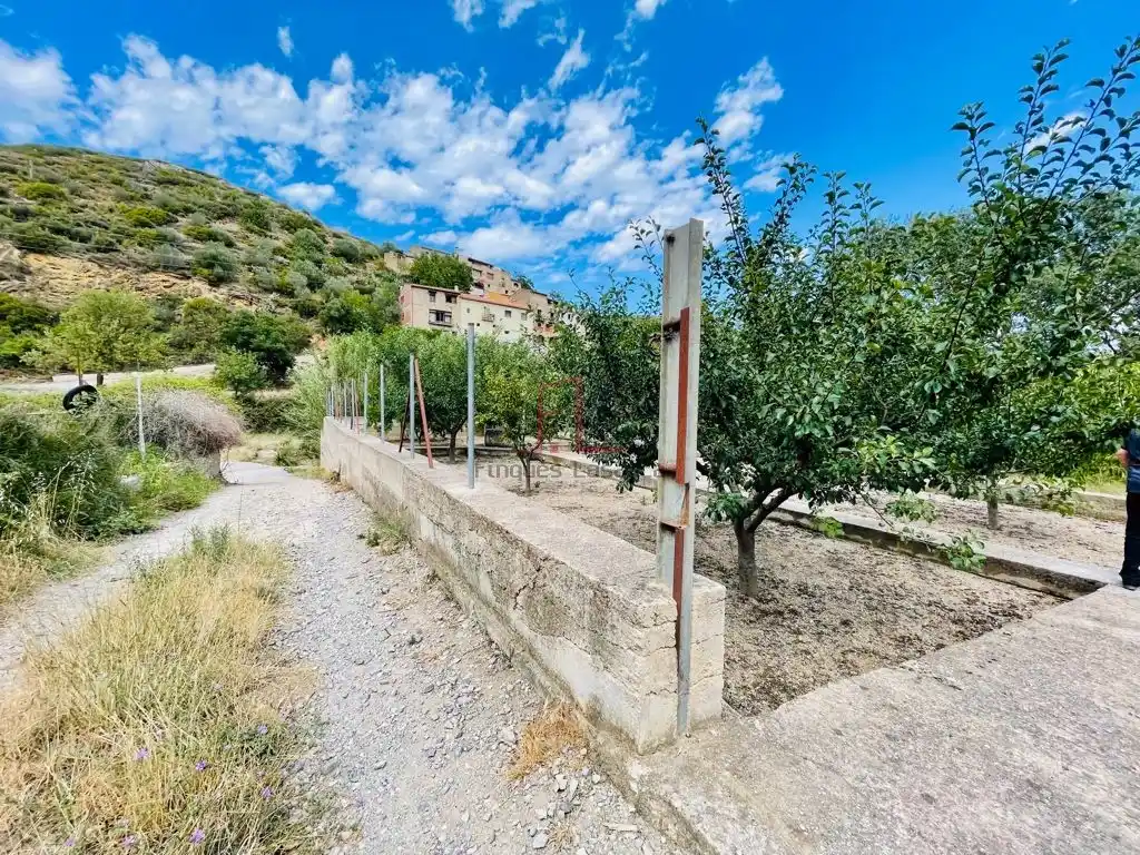 Huerto en Biure