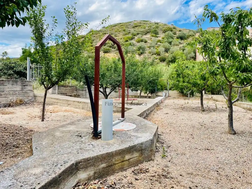 Huerto en Biure