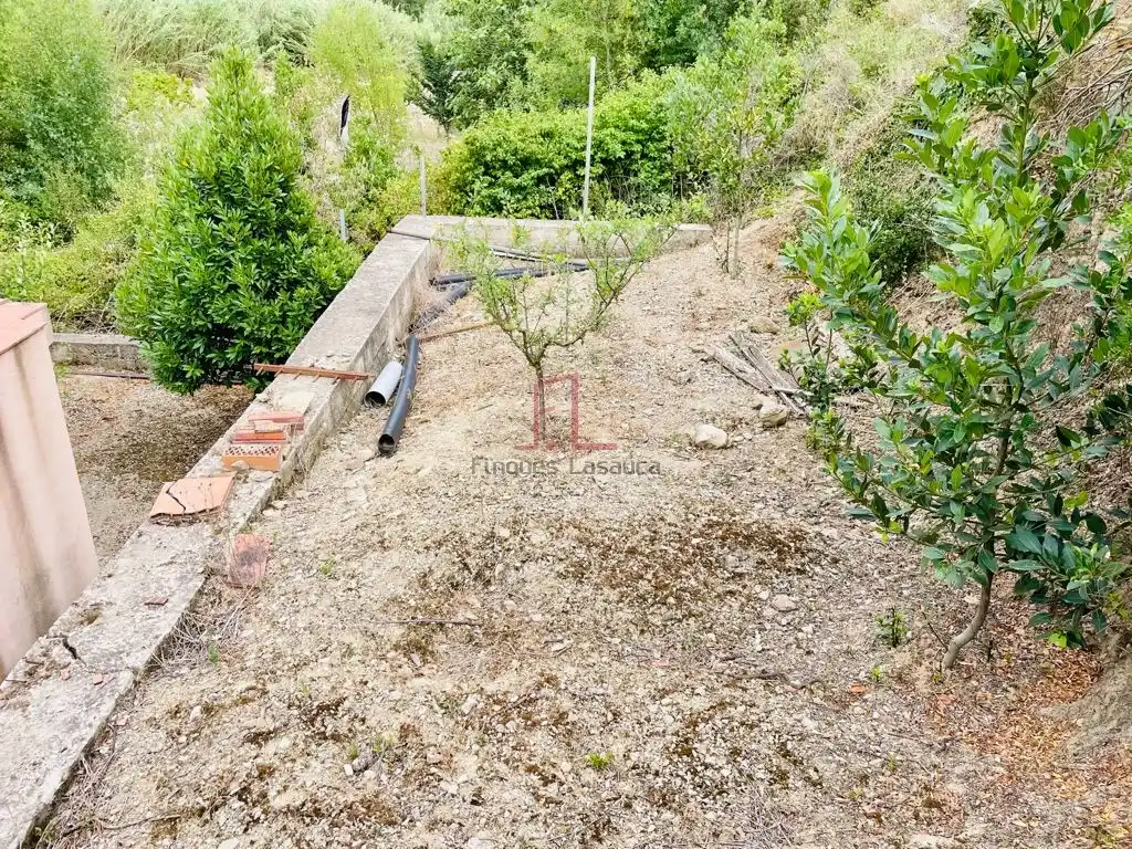 Huerto en Biure
