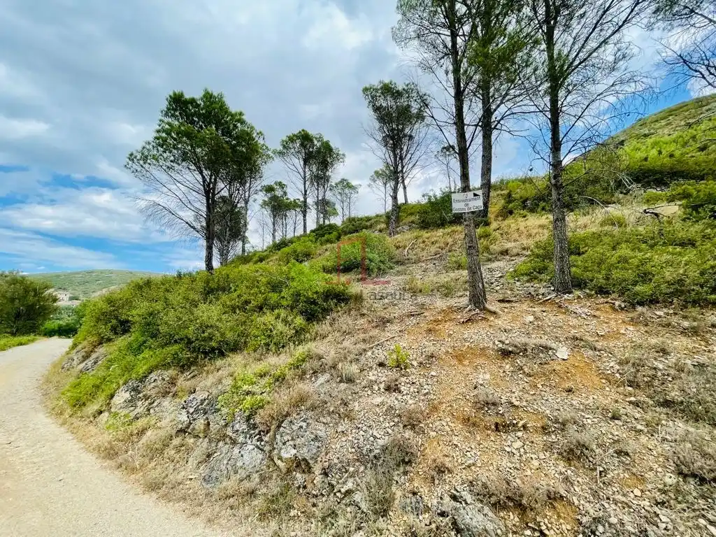 Huerto en Biure