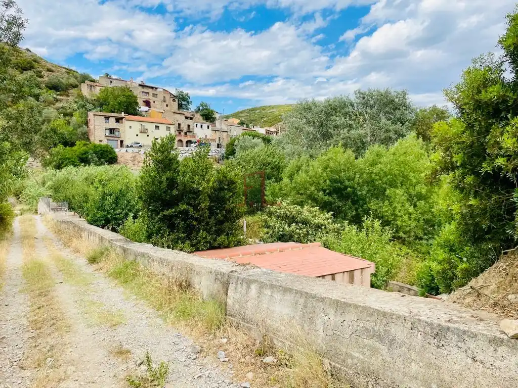Huerto en Biure