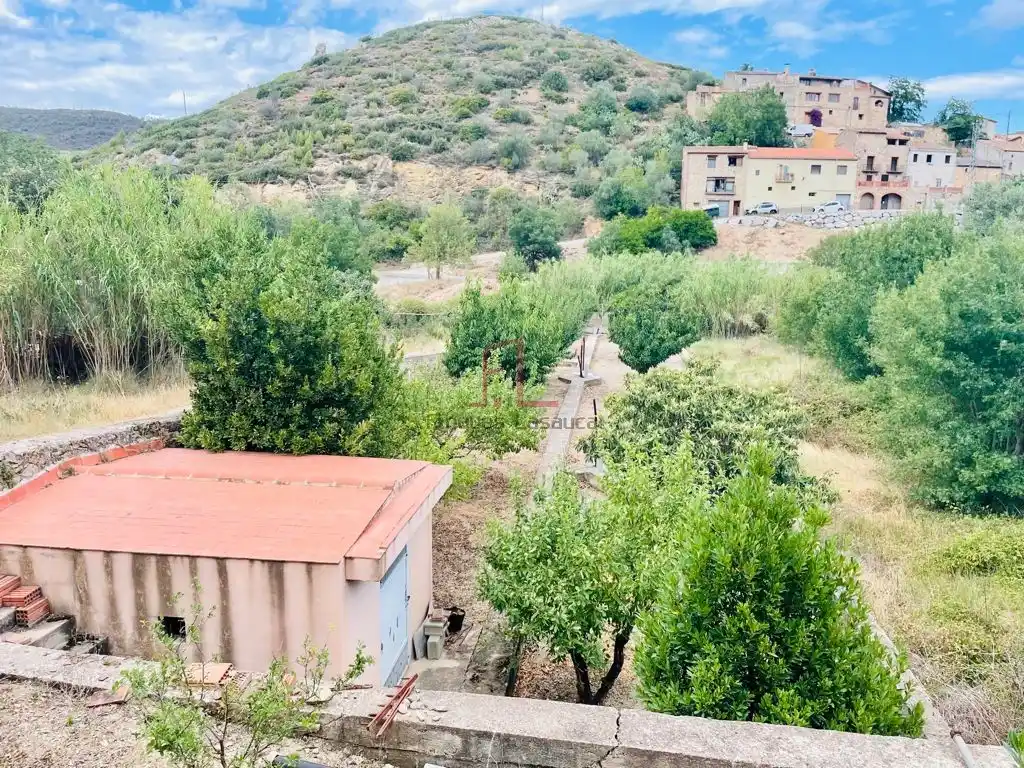 Huerto en Biure