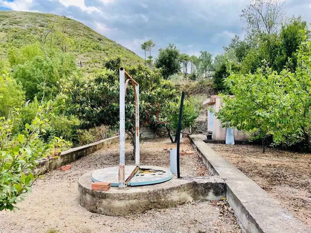 Huerto en Biure
