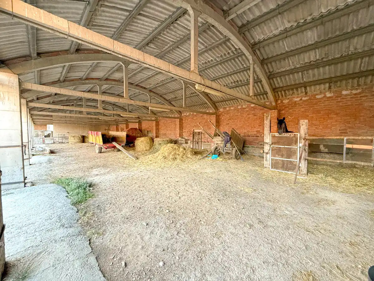 Finca rústica en venta (Riumors)