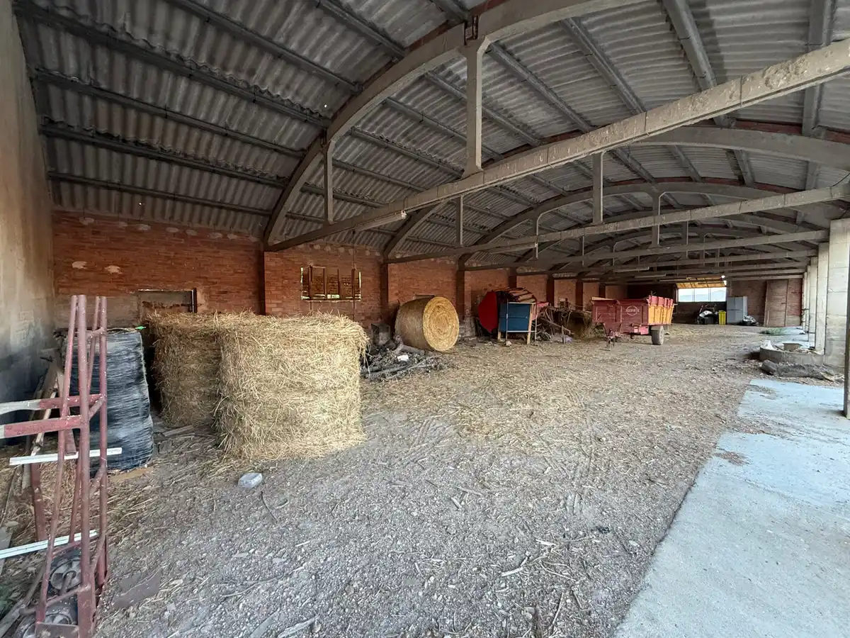 Finca rústica en venta (Riumors)