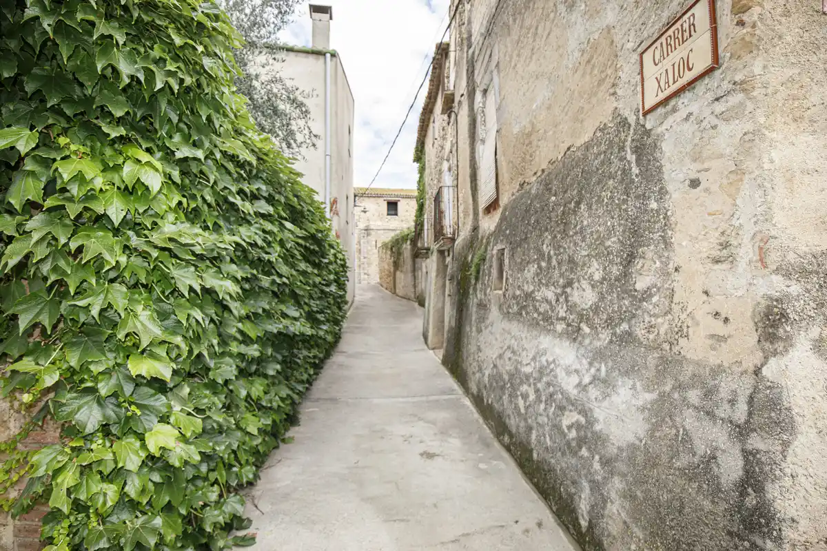 Casa en venta del siglo XIX con gran terreno en Palau de Santa Eulalia.