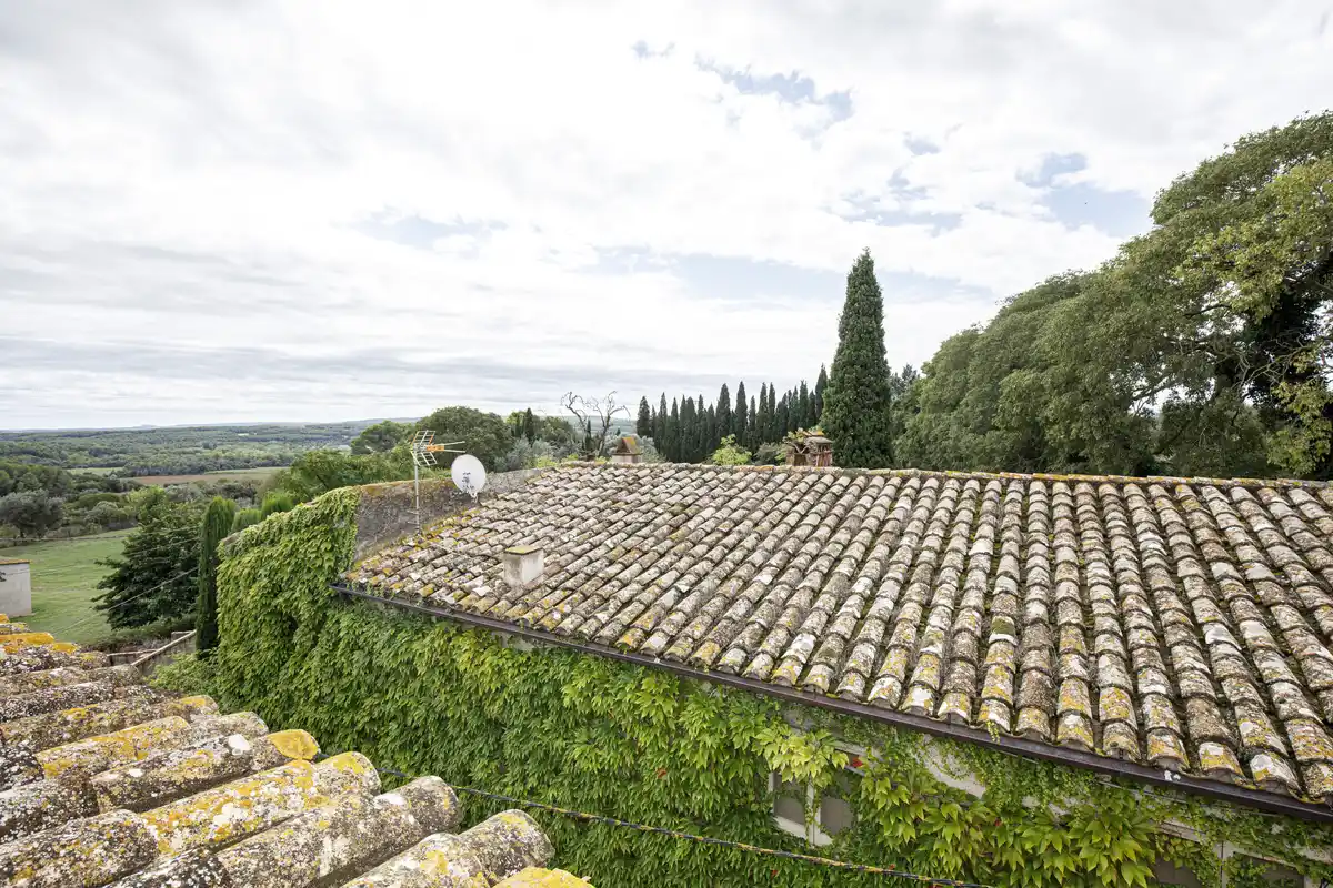 Casa en venta del siglo XIX con gran terreno en Palau de Santa Eulalia.